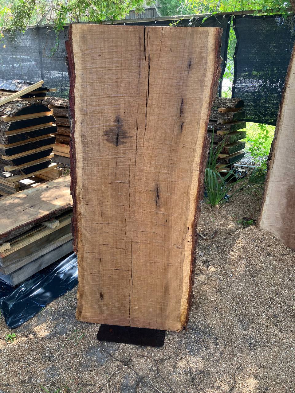 Live Oak Live Edge Slabs - Image 4