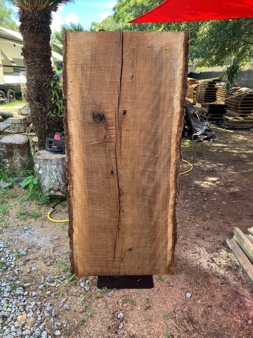 Live Oak Live Edge Slabs - Image 5