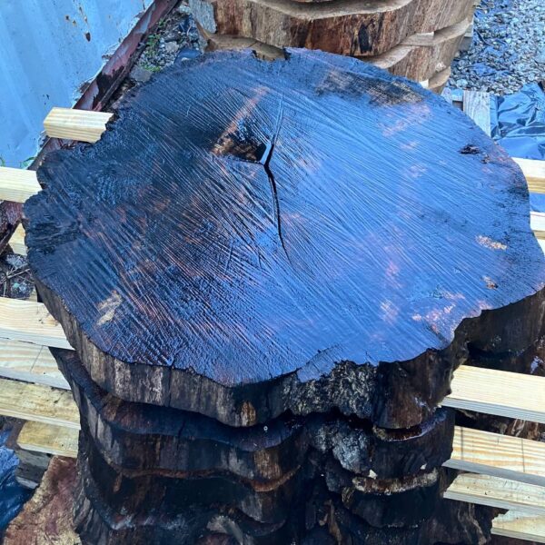 water oak coffe slabs