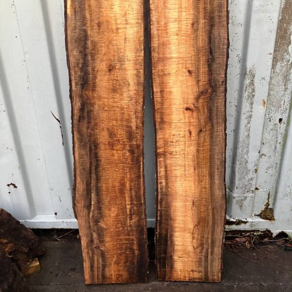 Laurel Oak Live Edge Slab Pair
