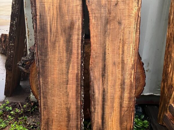 Laurel Oak Wide Live Edge Slab Pair