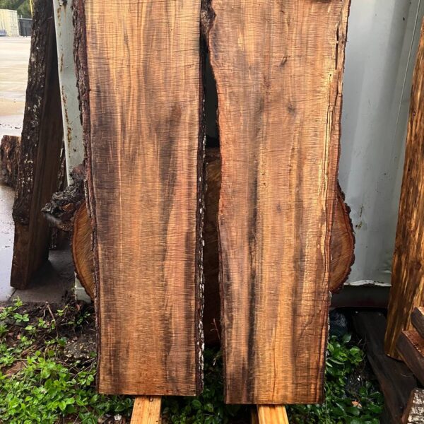 Laurel Oak Wide Live Edge Slab Pair
