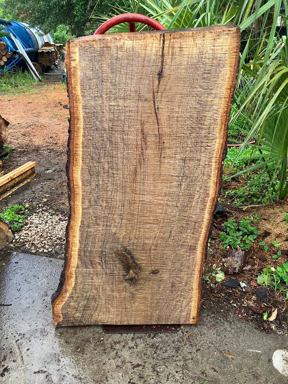 live oak live edge slabs