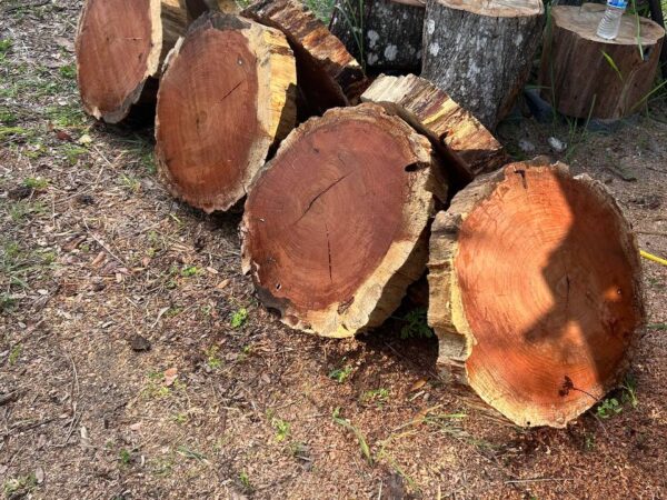 coffee slabs live edge