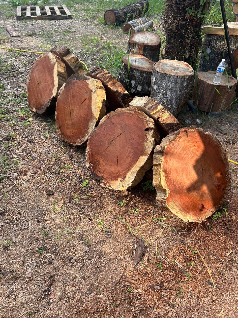 coffee slabs live edge