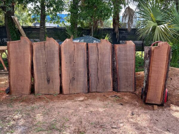 Live Oak Live Edge Slabs
