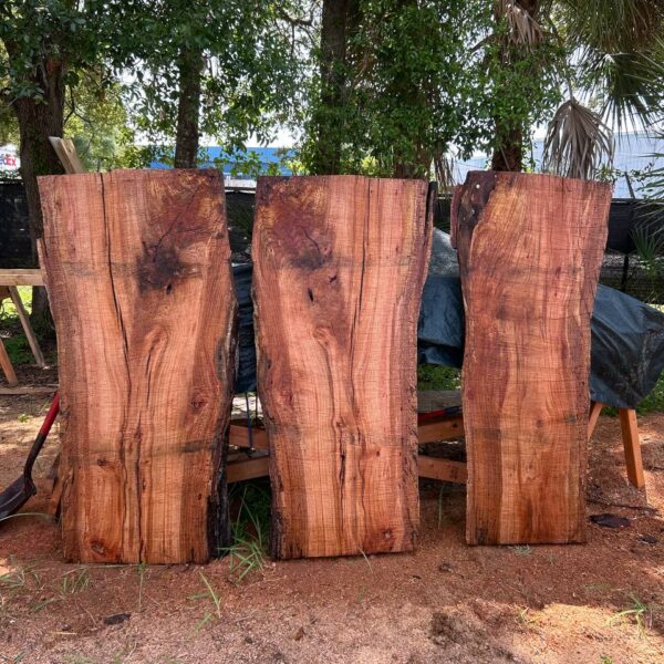 live edge slabs from pine