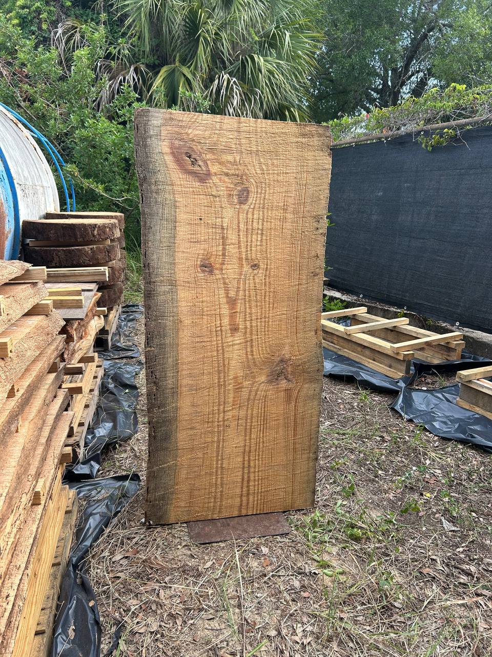 Pine Live Edge Slabs - Image 18