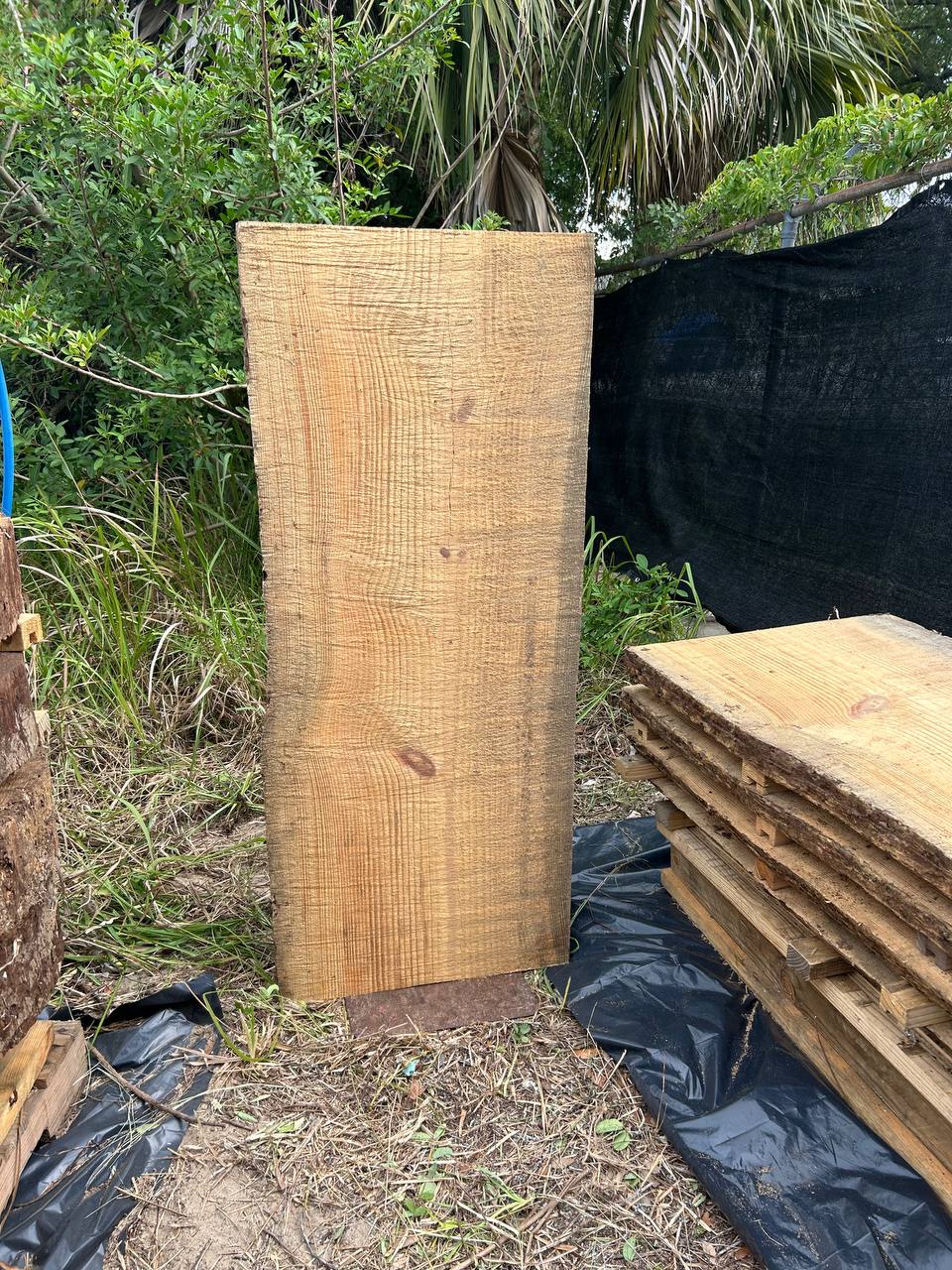 Pine Live Edge Slabs - Image 20