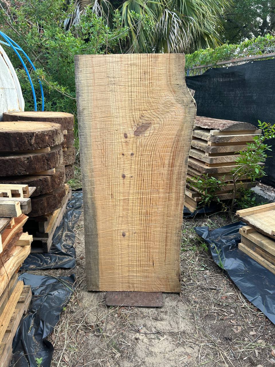 Pine Live Edge Slabs - Image 9