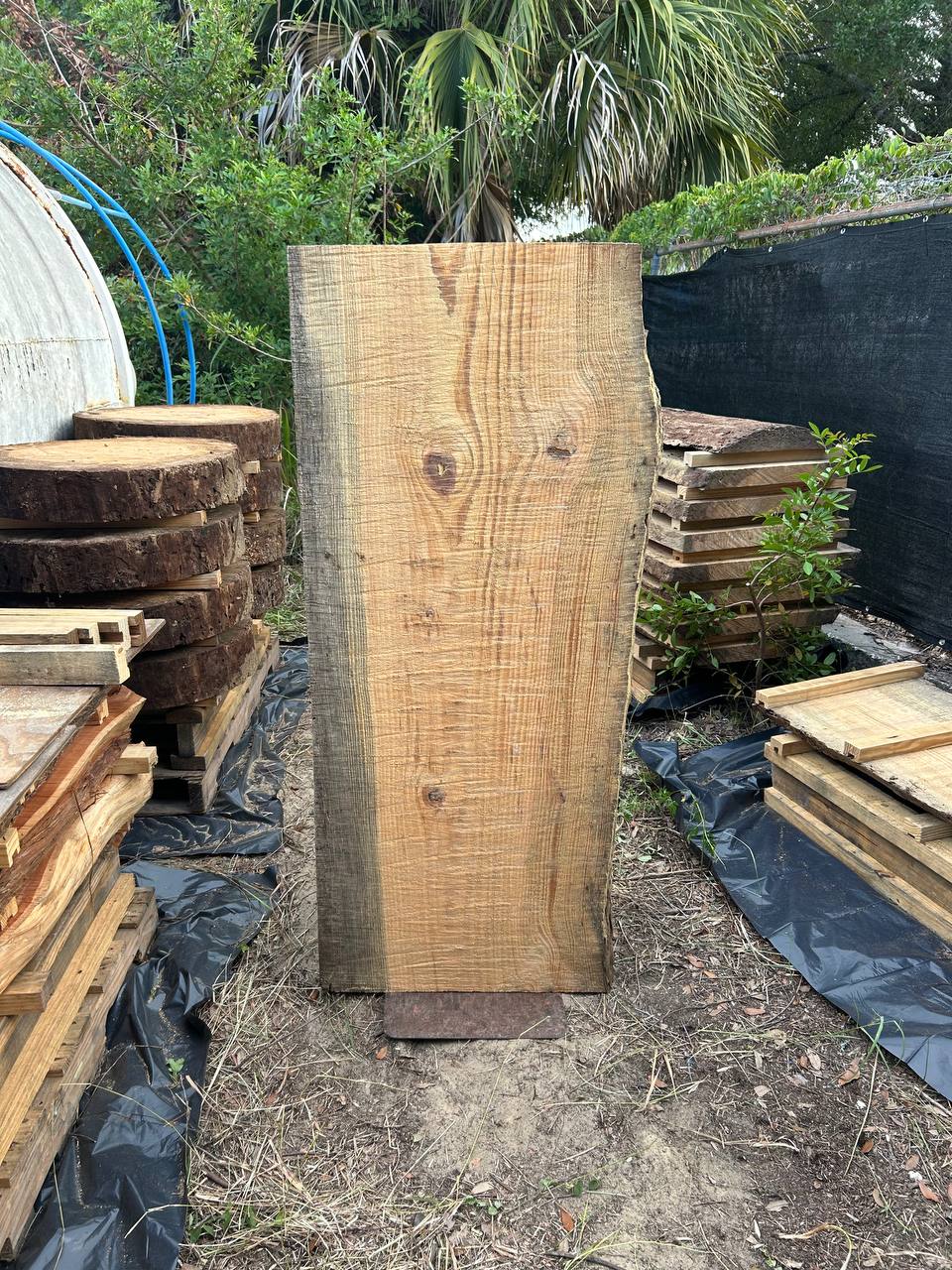 Pine Live Edge Slabs - Image 14