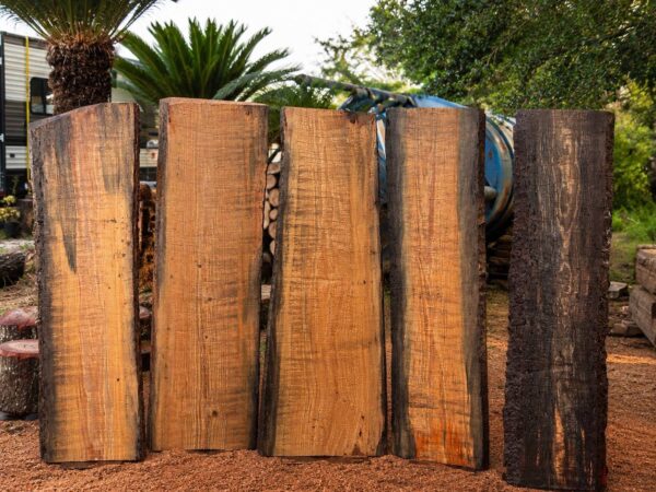 live edge slabs pine blue stain