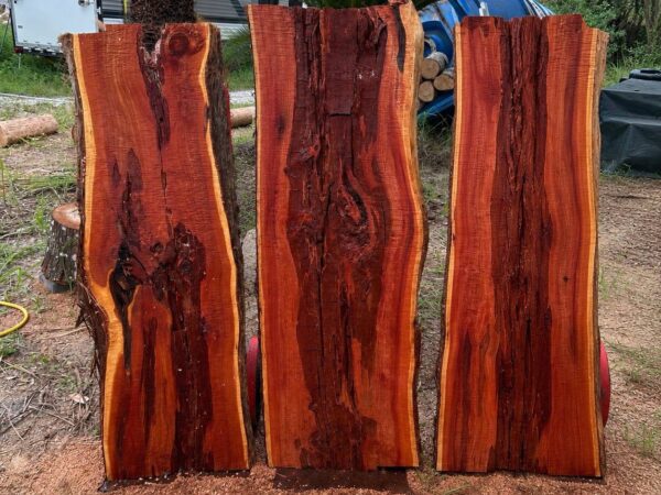 Cedar Live Edge Slabs