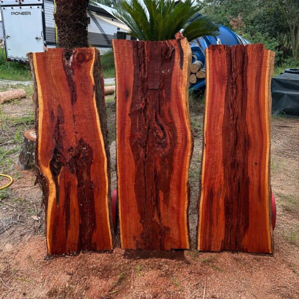 Cedar Live Edge Slabs