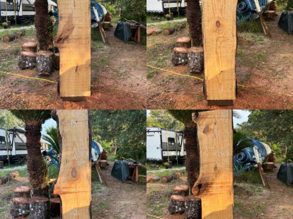 Pine Live Edge Slabs