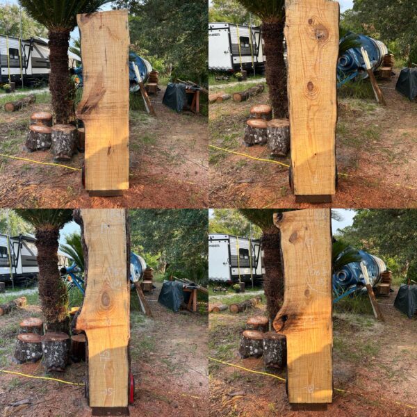 Pine Live Edge Slabs