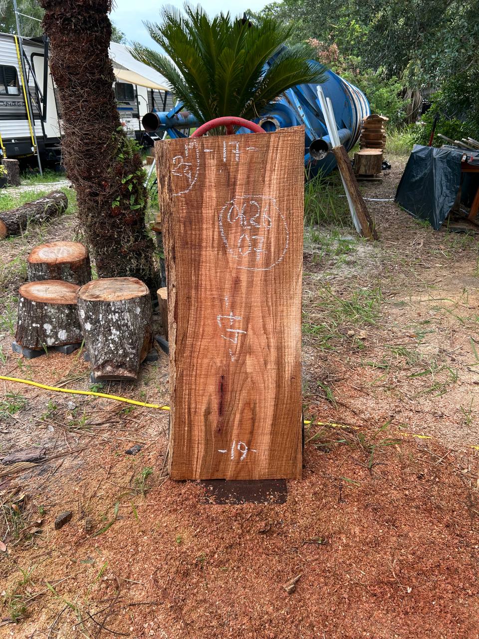 Laurel Oak Live Edge Slabs - Image 2