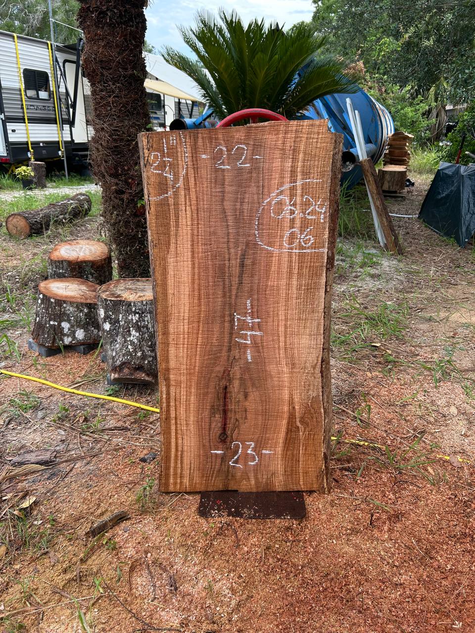 Laurel Oak Live Edge Slabs - Image 3