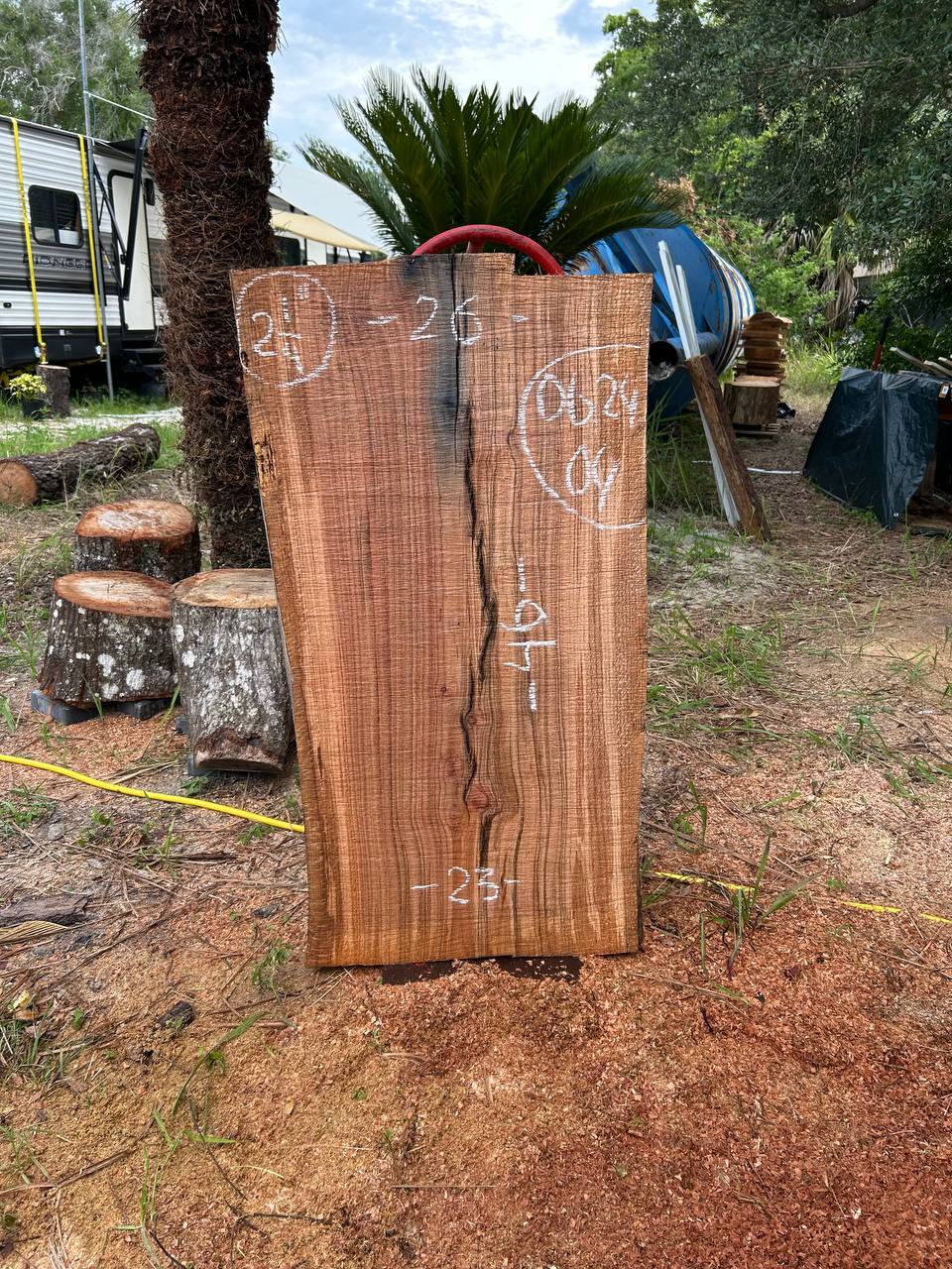 Laurel Oak Live Edge Slabs - Image 5