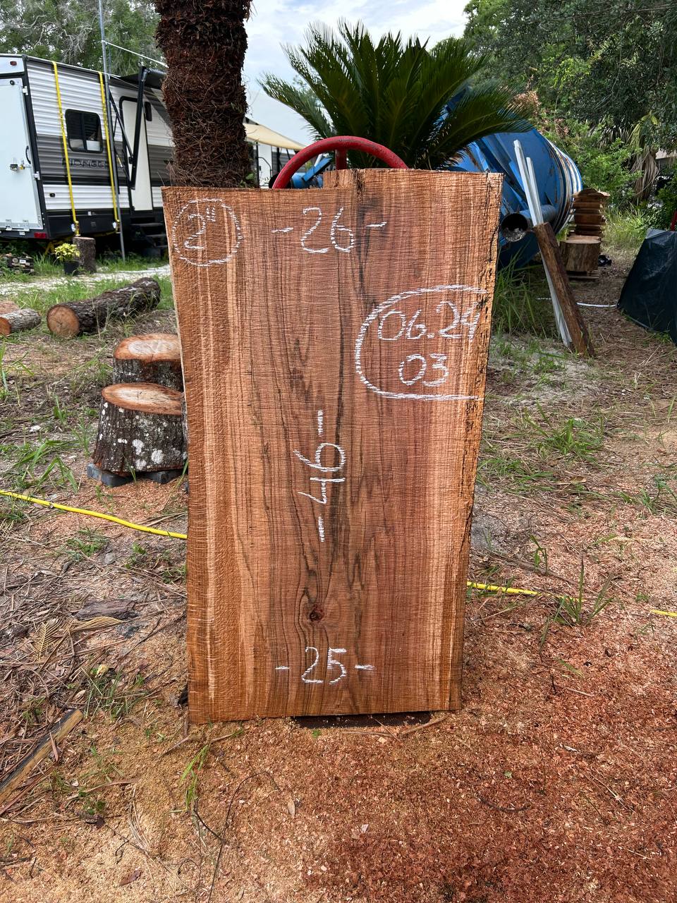 Laurel Oak Live Edge Slabs - Image 6