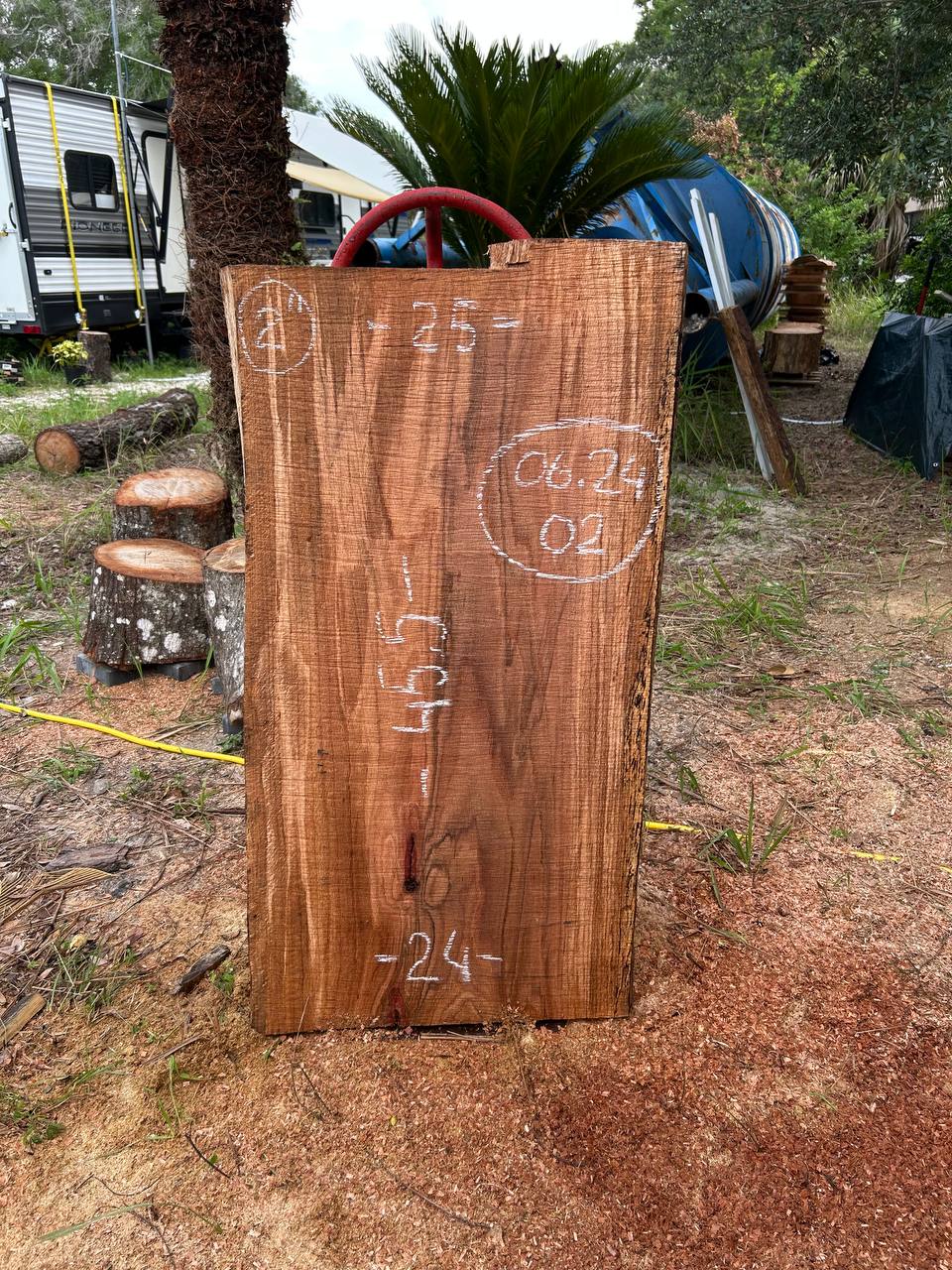 Laurel Oak Live Edge Slabs - Image 7
