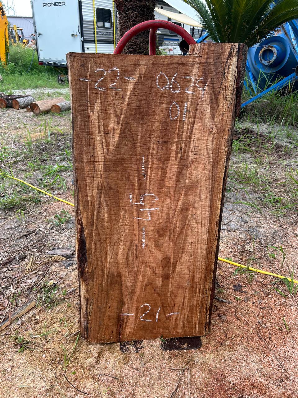 Laurel Oak Live Edge Slabs - Image 8