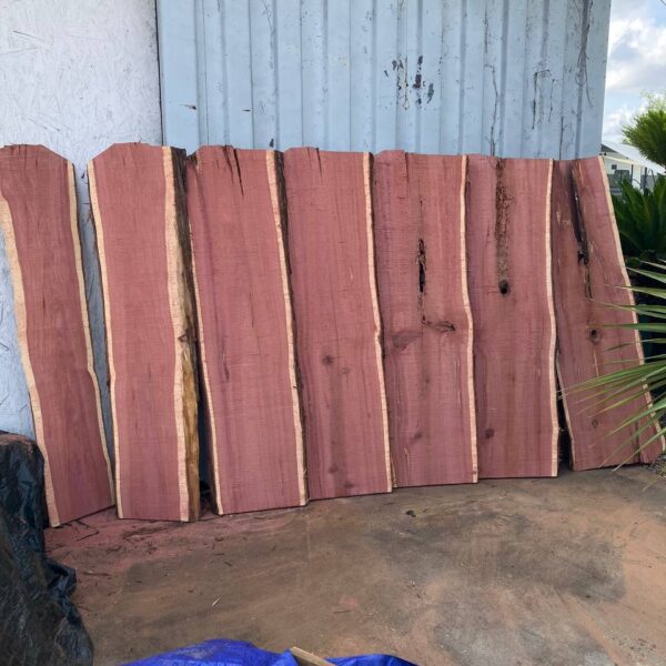 Cedar Live Edge Slabs #3