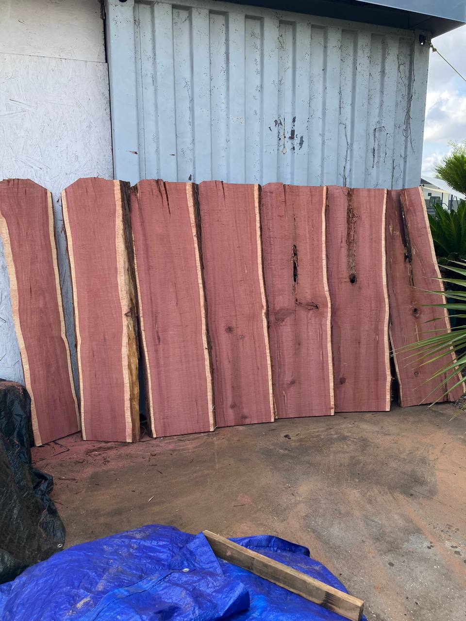 Cedar Live Edge Slabs #3