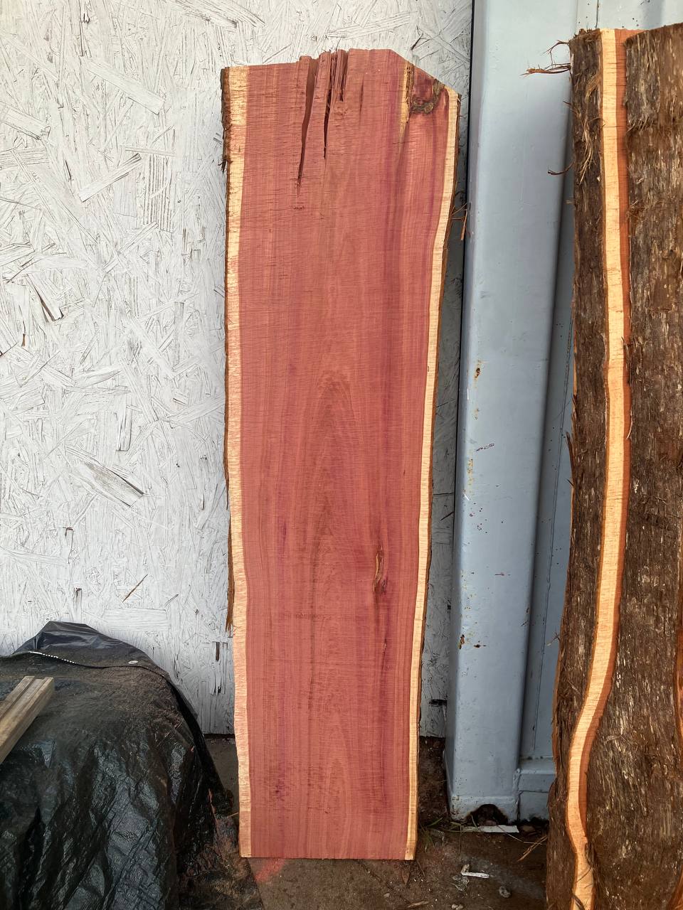 Cedar Live Edge Slabs #3 - Image 8