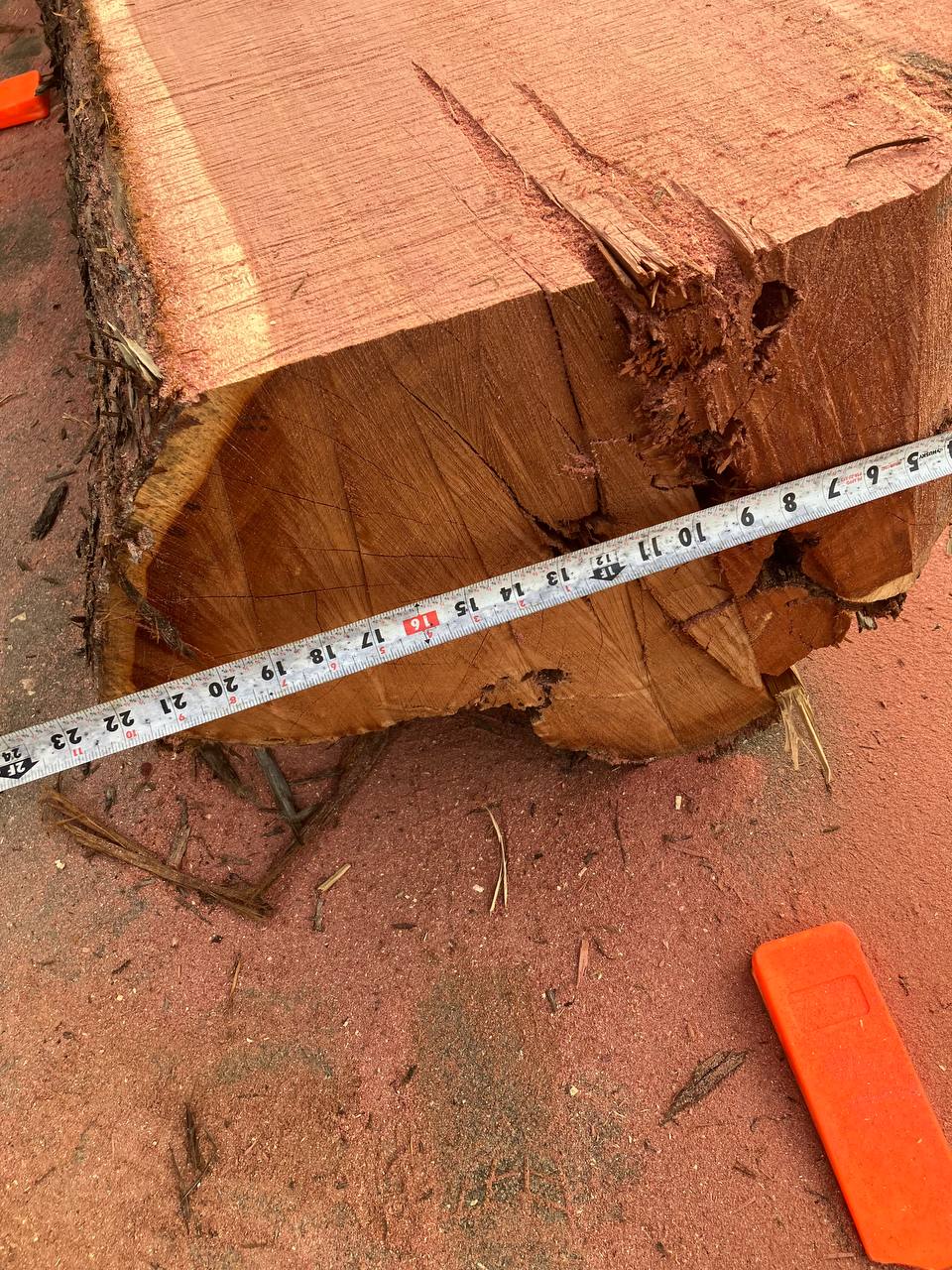 Cedar Live Edge Slabs #3 - Image 3