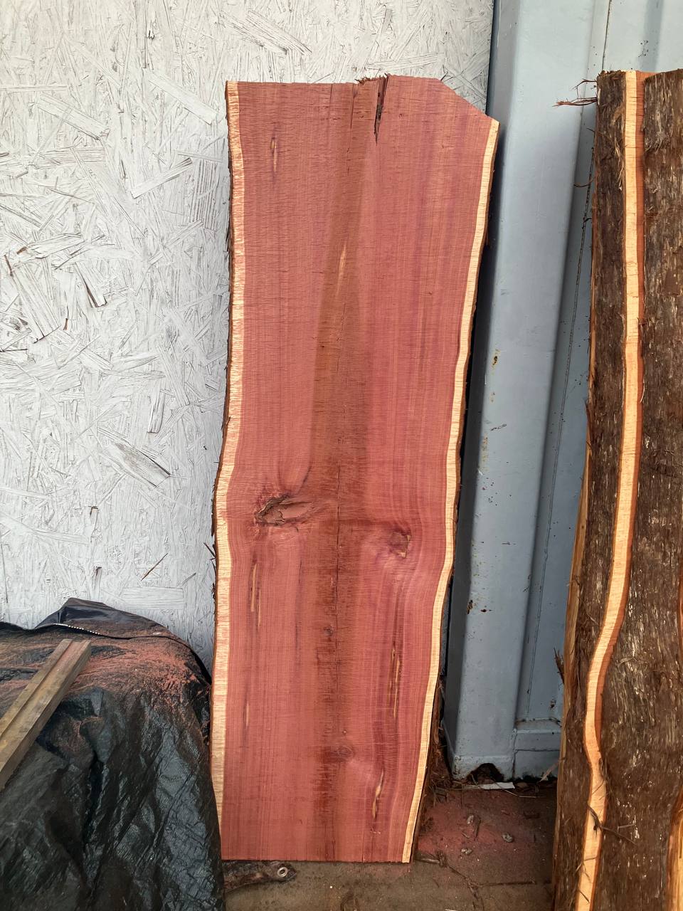 Cedar Live Edge Slabs #3 - Image 5