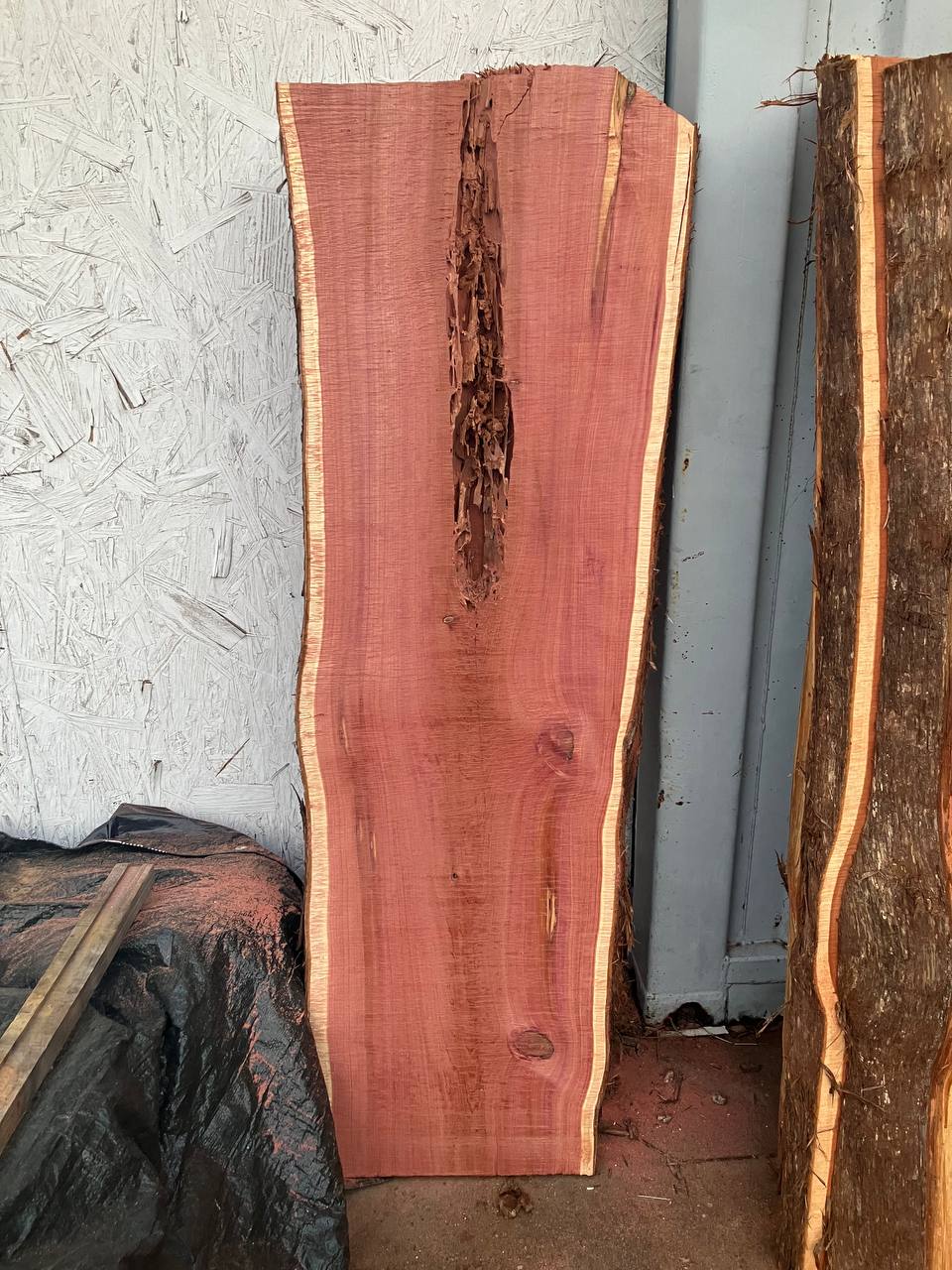Cedar Live Edge Slabs #3 - Image 6
