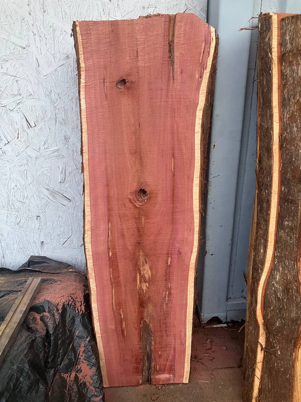 Cedar Live Edge Slabs #3 - Image 7