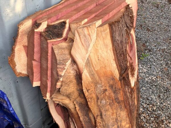 Cedar Live Edge Slabs #4