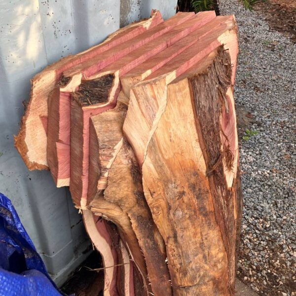 Cedar Live Edge Slabs #4