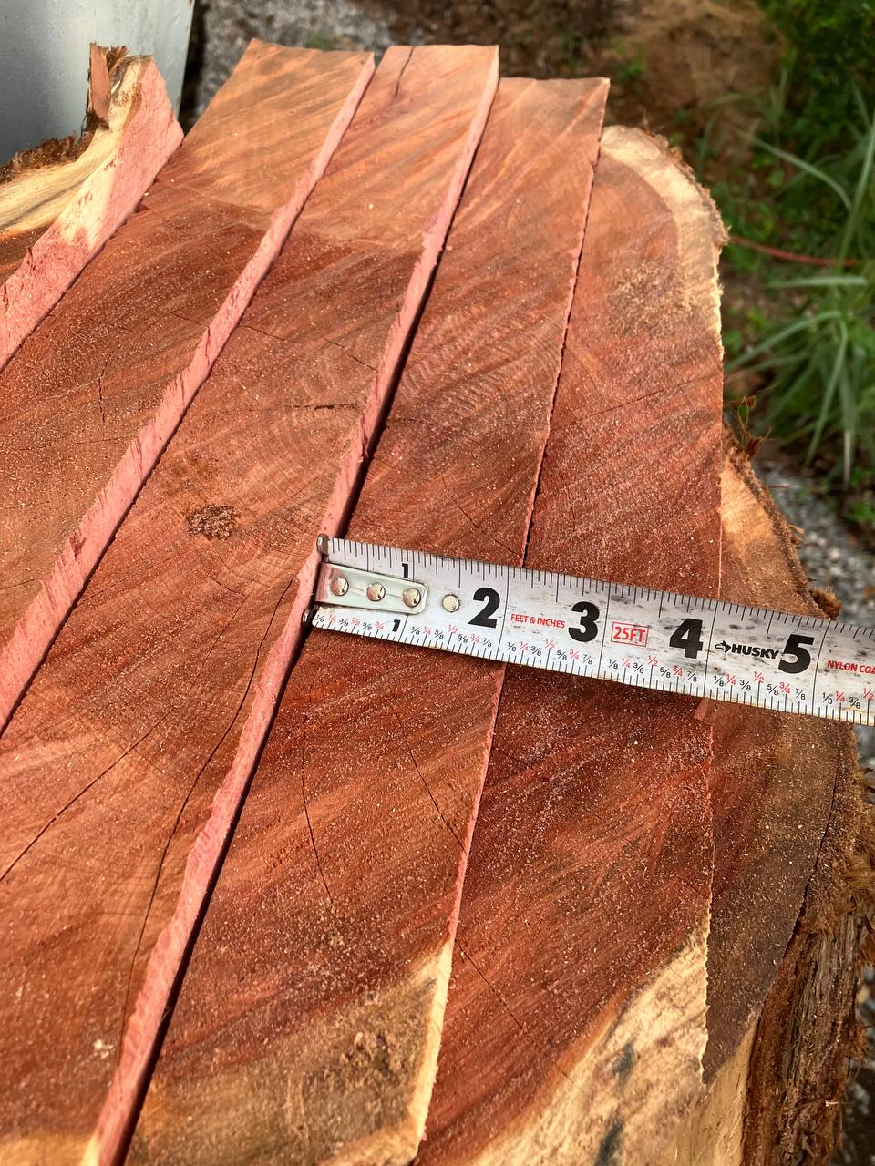 Cedar Live Edge Slabs #4 - Image 7