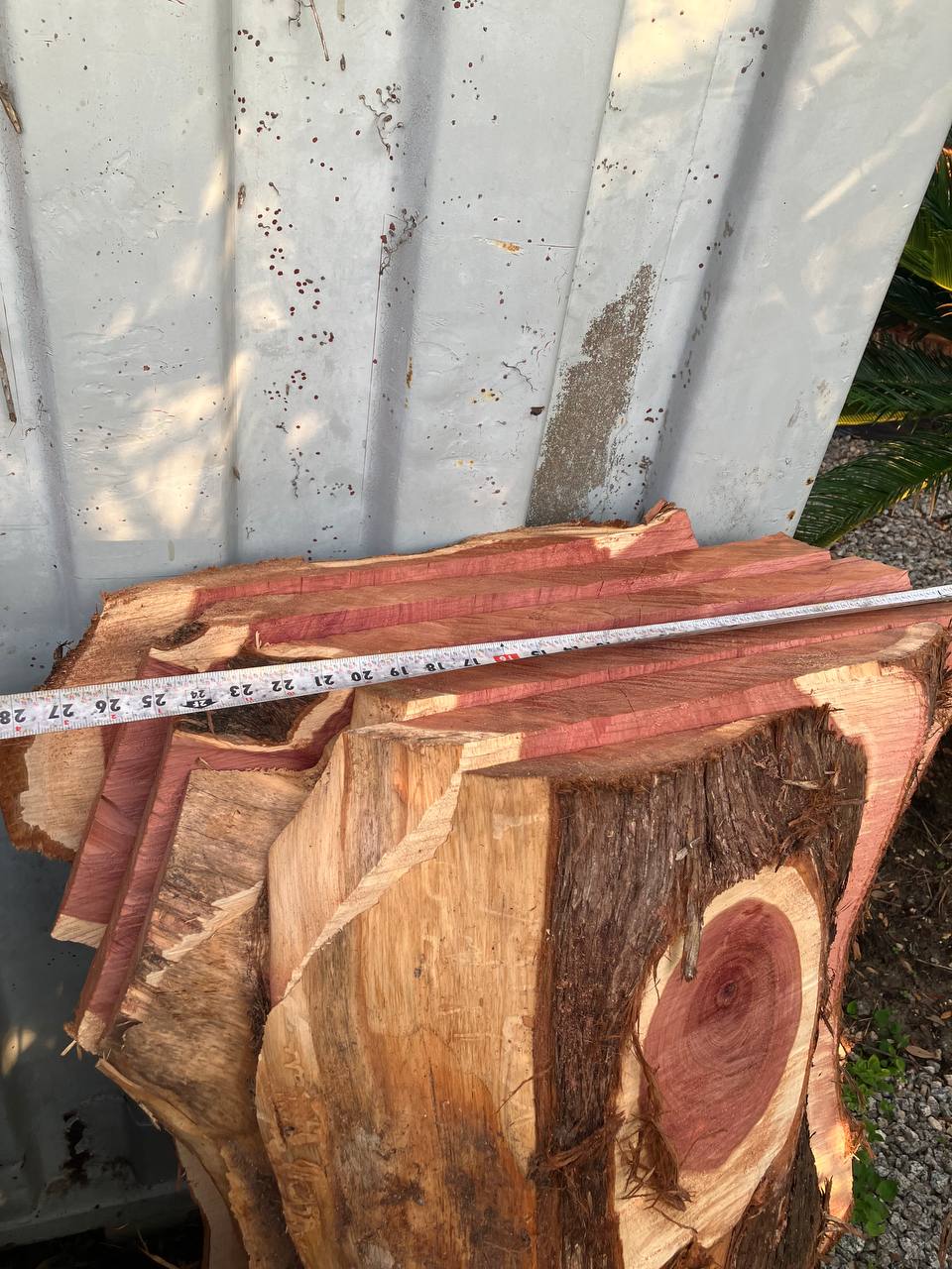 Cedar Live Edge Slabs #4 - Image 3