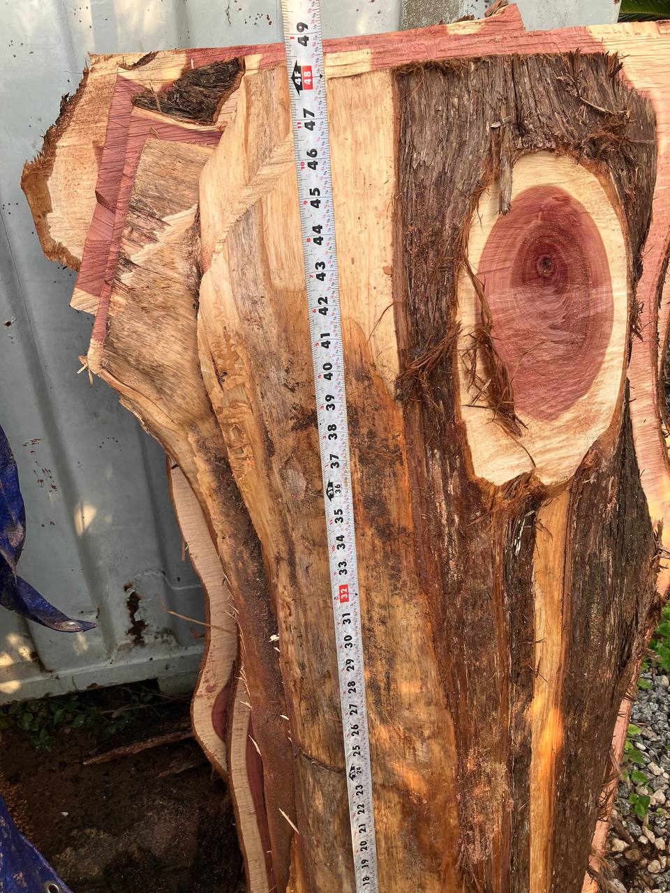 Cedar Live Edge Slabs #4 - Image 4
