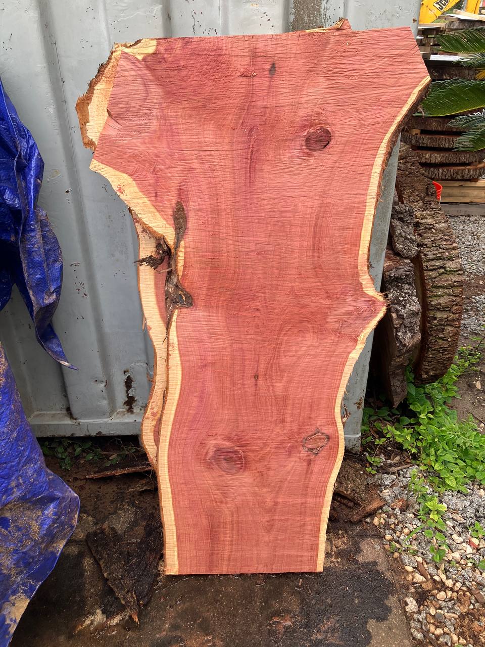 Cedar Live Edge Slabs #4 - Image 6