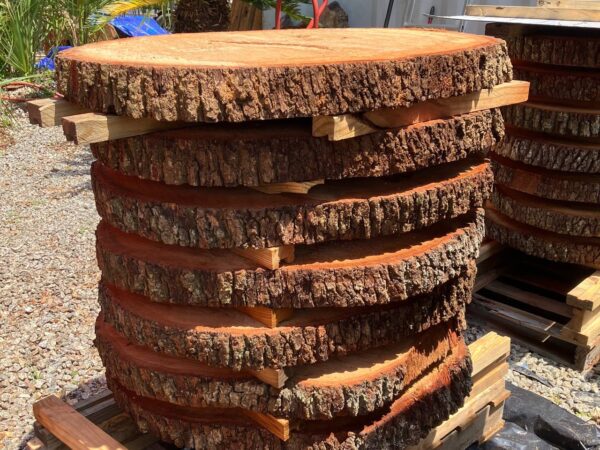 Solid Live Oak Coffee Table Rounds