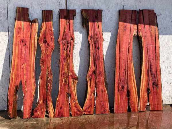 Red Cedar Live Edge Slabs