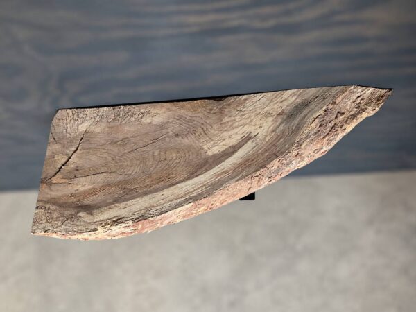 Water oak live edge shelf board SB-001 with a wedge-shaped profile tapering from 13 inches wide to a point