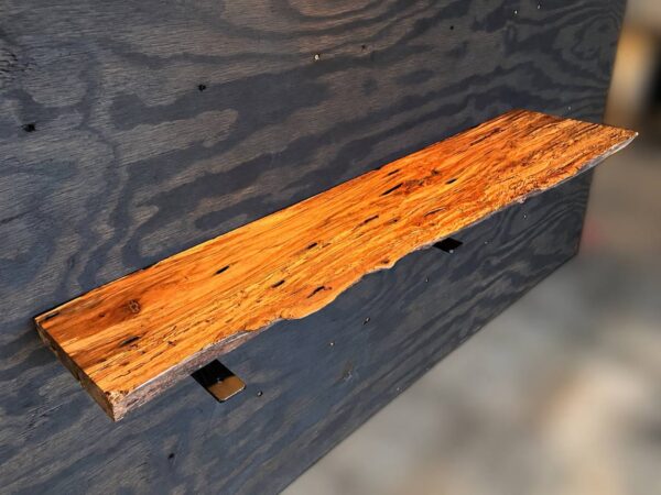 Water oak live edge shelf SH-004 showing bark and a rustic irregular outline